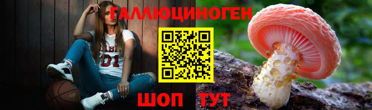 Псилоцибиновые грибы GOLDEN TEACHER Воскресенск